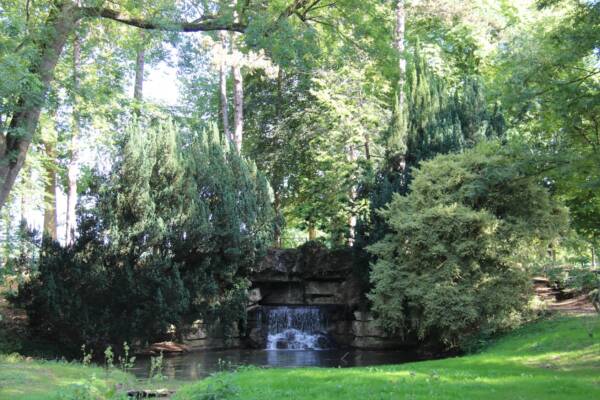 Visite guidée - Parc de l'Aleu - Nature - Saint-Arnoult-en-Yvelines - Nature - Découverte - Yvelines