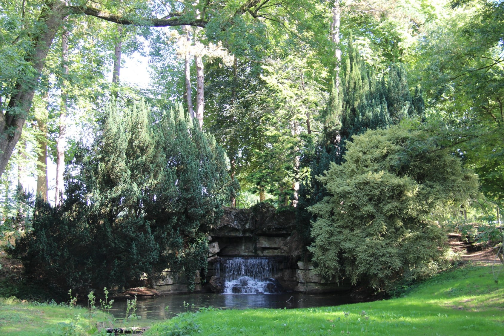 Führung - Aleu-Park - Natur - Saint-Arnoult-en-Yvelines - Natur - Entdeckung - Yvelines