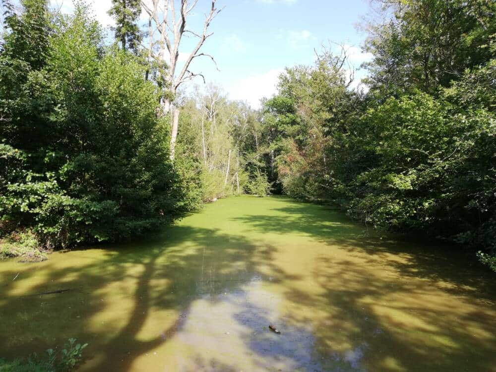 Wandeladvies - Heuvelachtige landschappen van de Gloriette tot Bullion