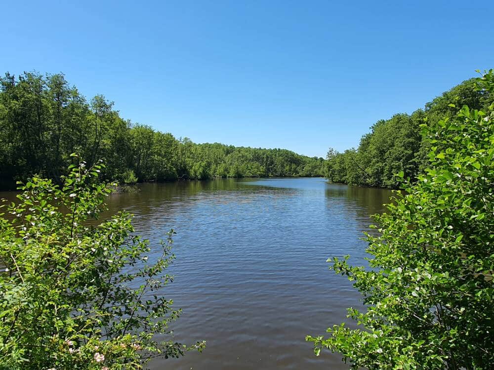 Cernay-la-Ville - Wandern - Dorf - Entdeckung - Yvelines