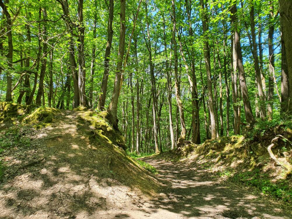 Cernay-la-Ville - Wandern - Dorf - Entdeckung - Yvelines