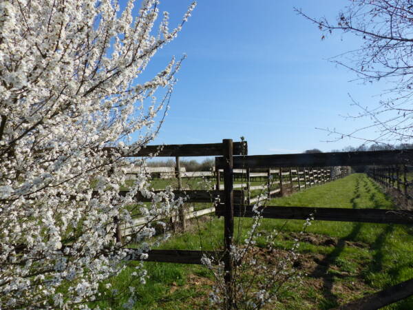 Wandertipps - Auffargis - Wandern - Natur - Wald - Yvelines