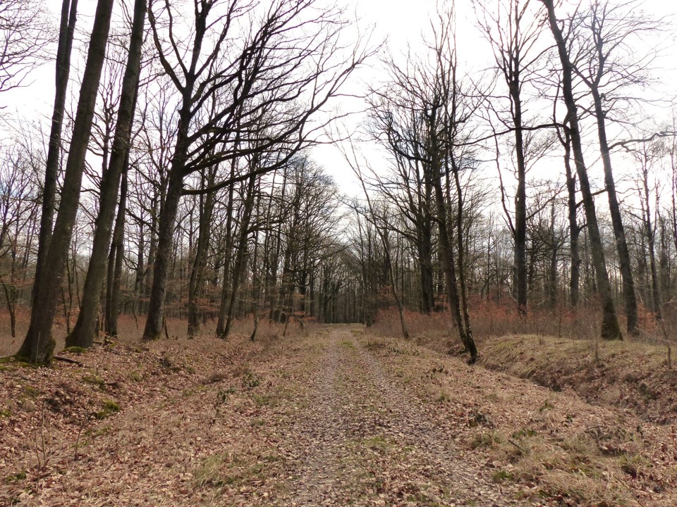 Conselhos para caminhadas Gazeran e Saint Hilarion 4 @OTCI - Posto de Turismo de Rambouillet