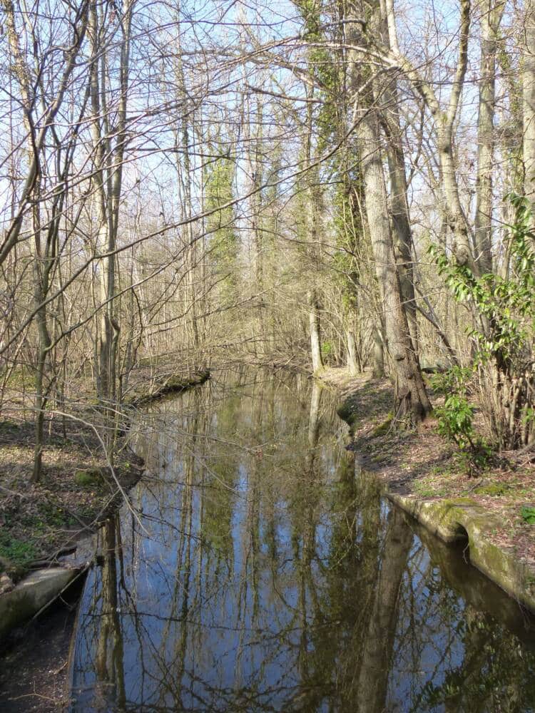 Wandeladvies het vlindereffect - Raizeux en Hermeray