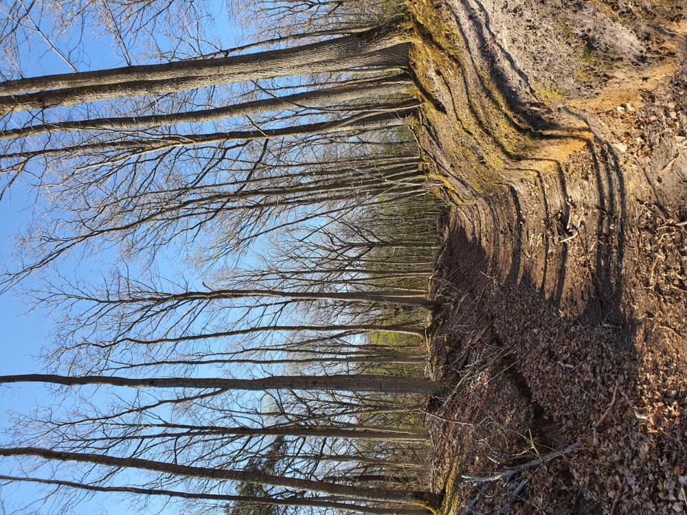 Rando conseil - La Celle-les-Bordes