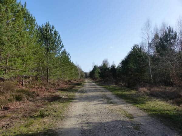 Wandeladvies - Gambaiseuil - bos - natuur - wandelen - Yvelines