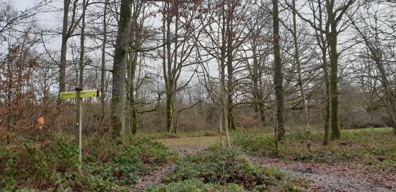 De l'ancienne sablière aux eaux - Forêt - Rambouillet - randonnée