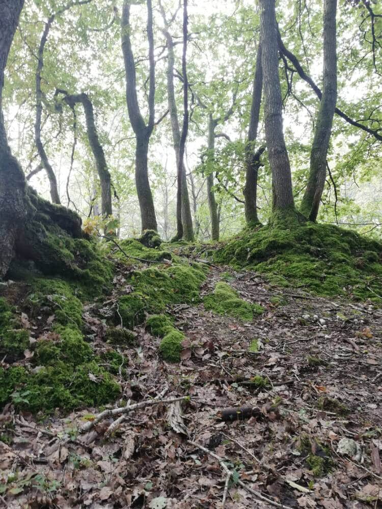 Ru des Vaux-vallei tussen Cernay en Senlisse 16 - VVV-kantoor van Rambouillet