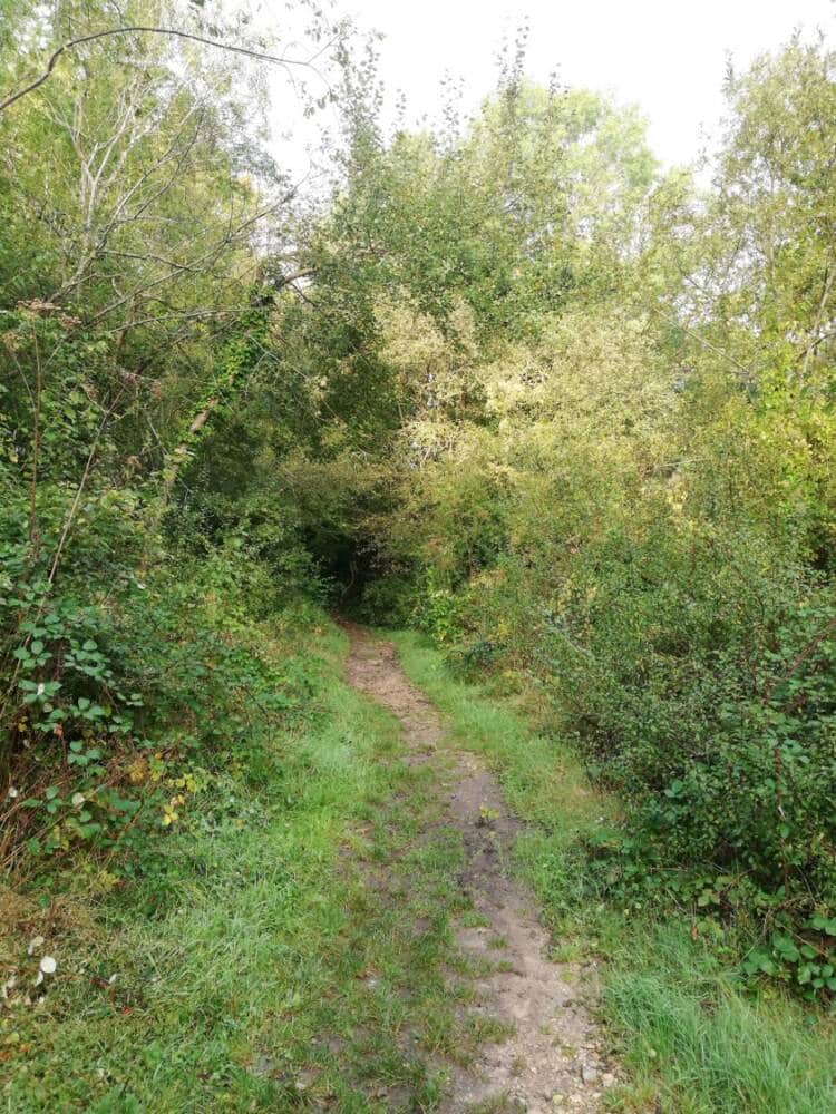 Rando conseil - La Vallée du Ru des Vaux - Cernay-la-Ville