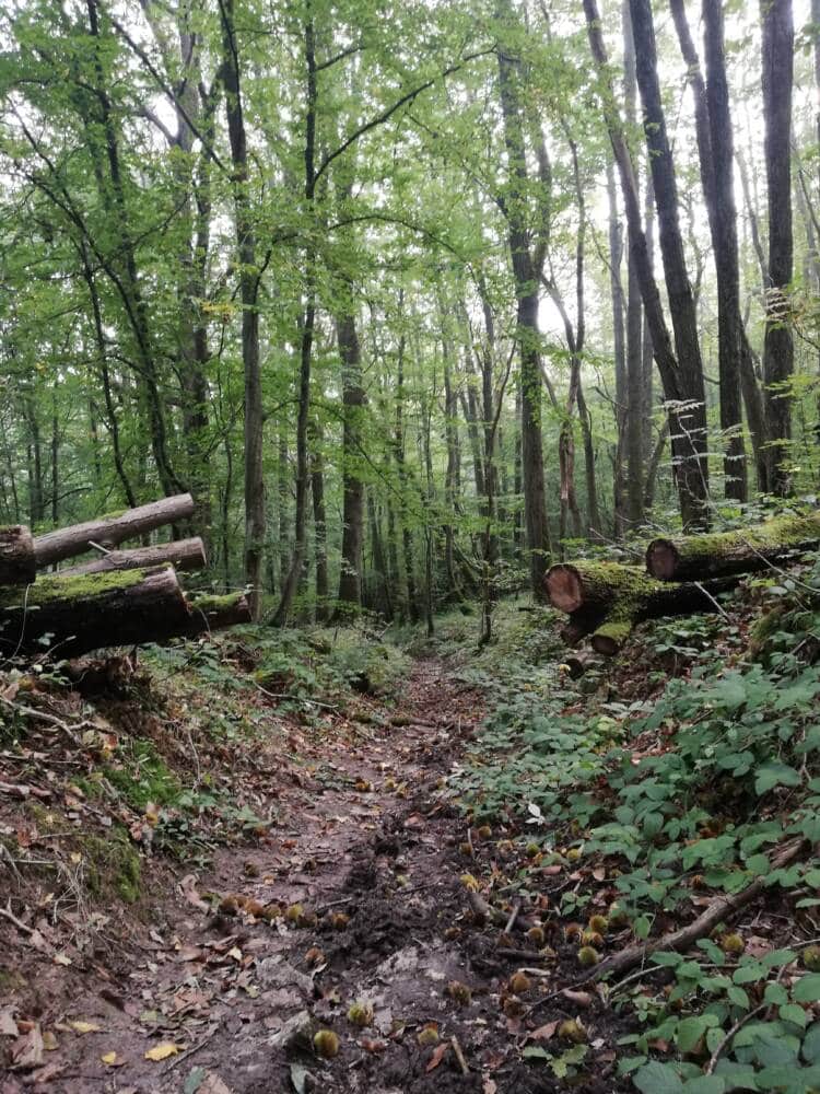 Vale Ru des Vaux entre Cernay e Senlisse 21 - Posto de Turismo de Rambouillet