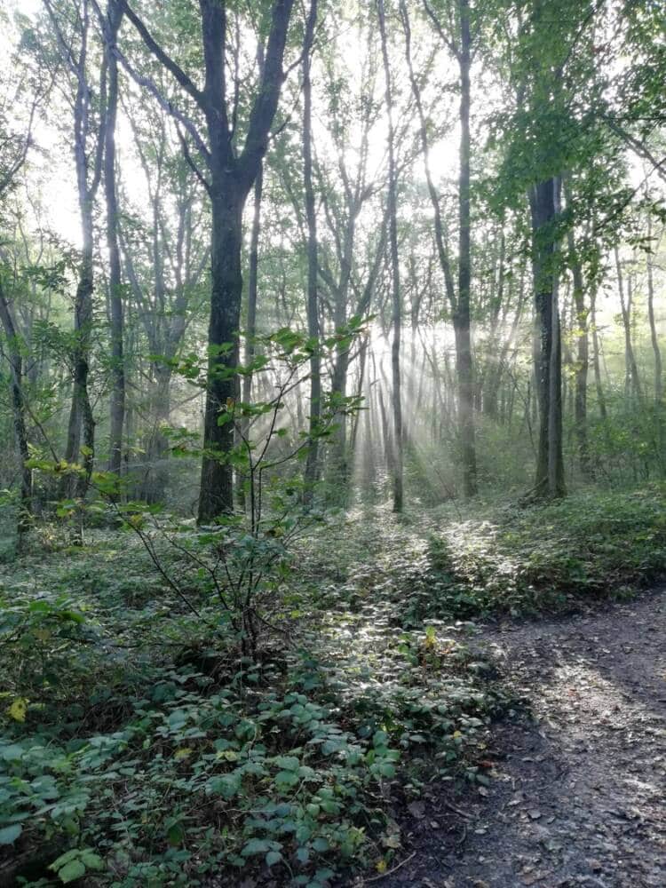 Valle de Ru des Vaux entre Cernay y Senlisse 26 - Oficina de Turismo de Rambouillet