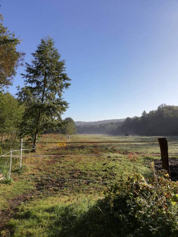 Cernay और Senlisse 42 के बीच Ru des Vaux Valley - Rambouillet पर्यटक कार्यालय