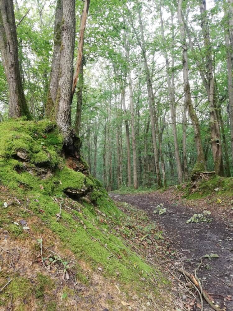 Valle del Ru des Vaux tra Cernay e Senlisse 7 - Ufficio del turismo di Rambouillet