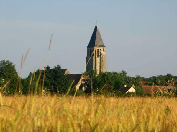 Sonchamp