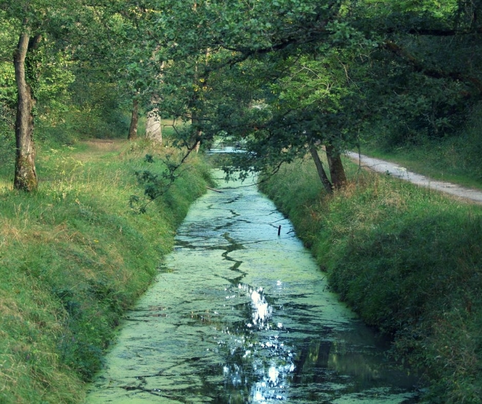 Rondleiding - Rigoles de Vieille-Eglise - Natuur - Ontdekking - Toerisme - Yvelines