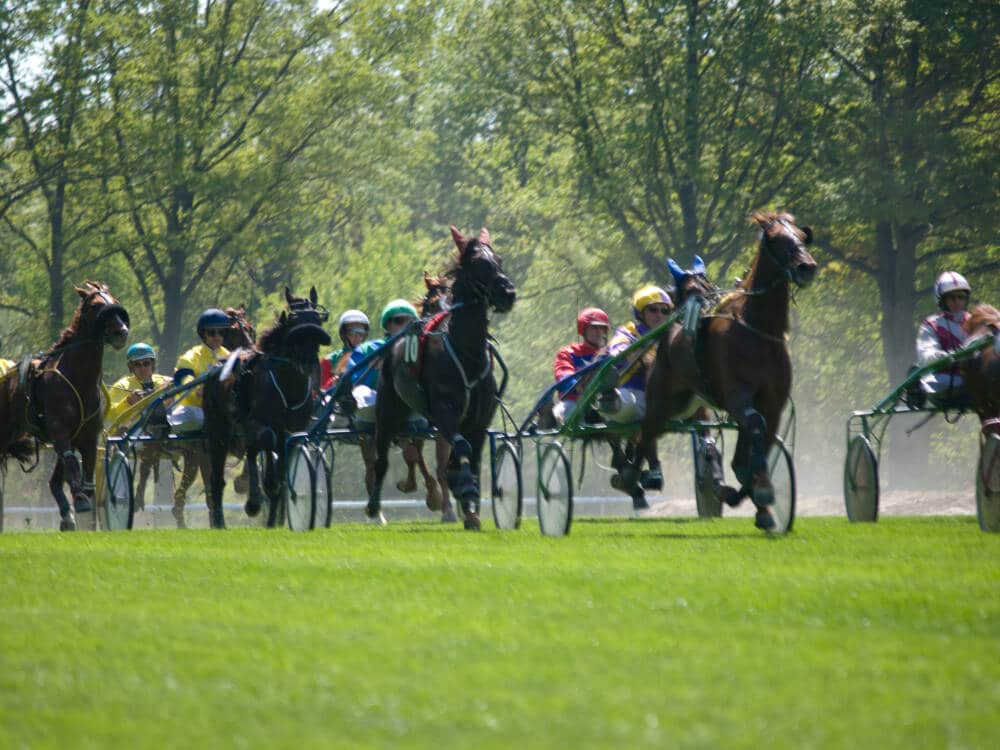 Hippodrome de Rambouillet