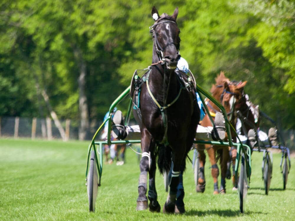 Pferderennbahn von Rambouillet