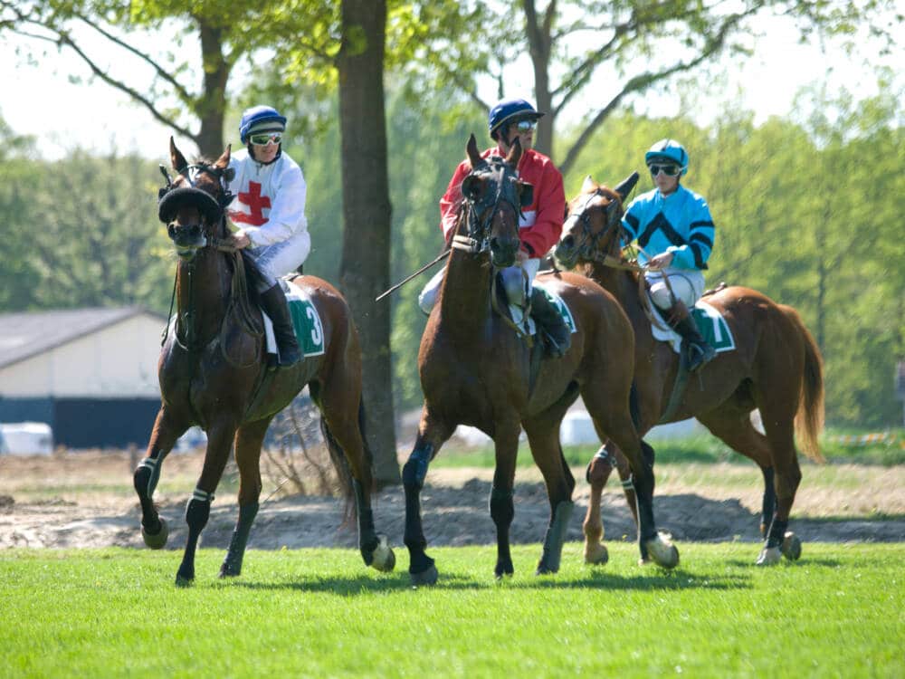 Hipódromo de Rambouillet