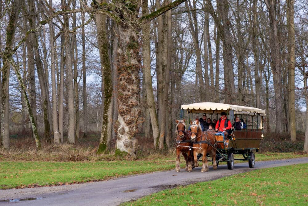 Lunch aan boord van een paardenkoets bij de Bergerie Nationale