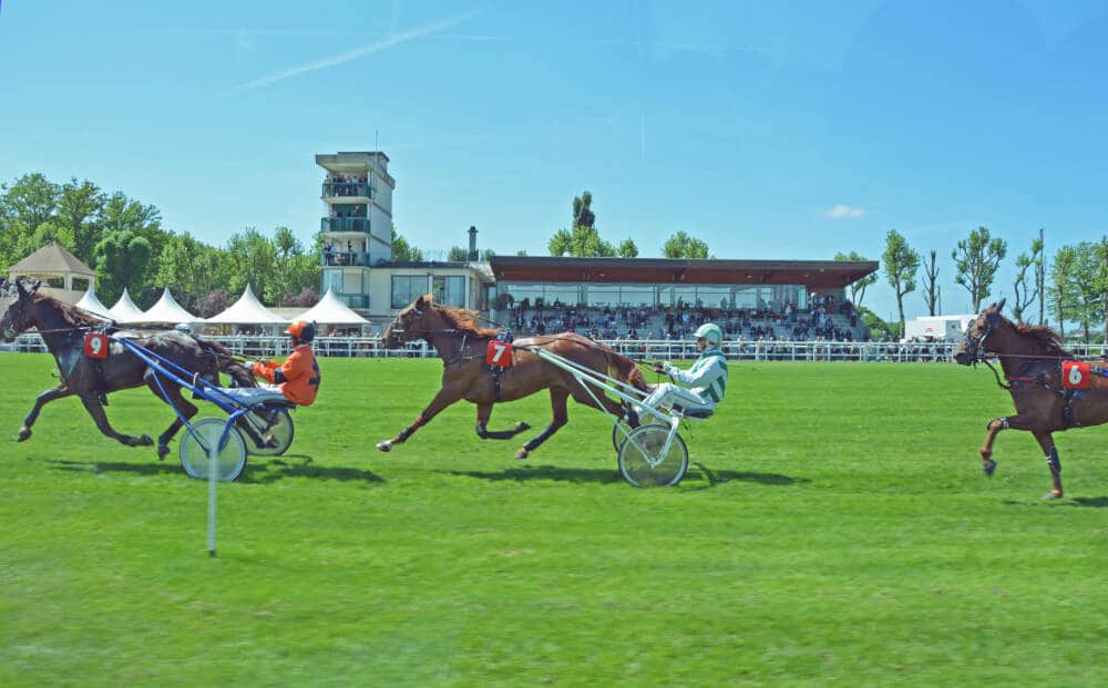 Rambouillet racecourse, racehorse