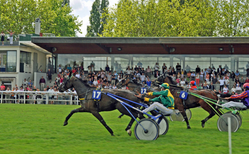 Hippodrome de Rambouillet, cheval de course