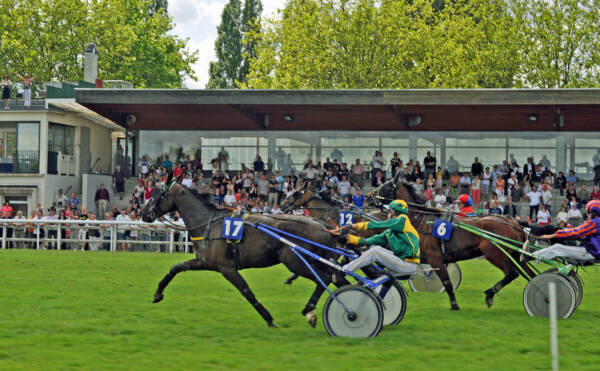 Hippodrome de Rambouillet, cheval de course