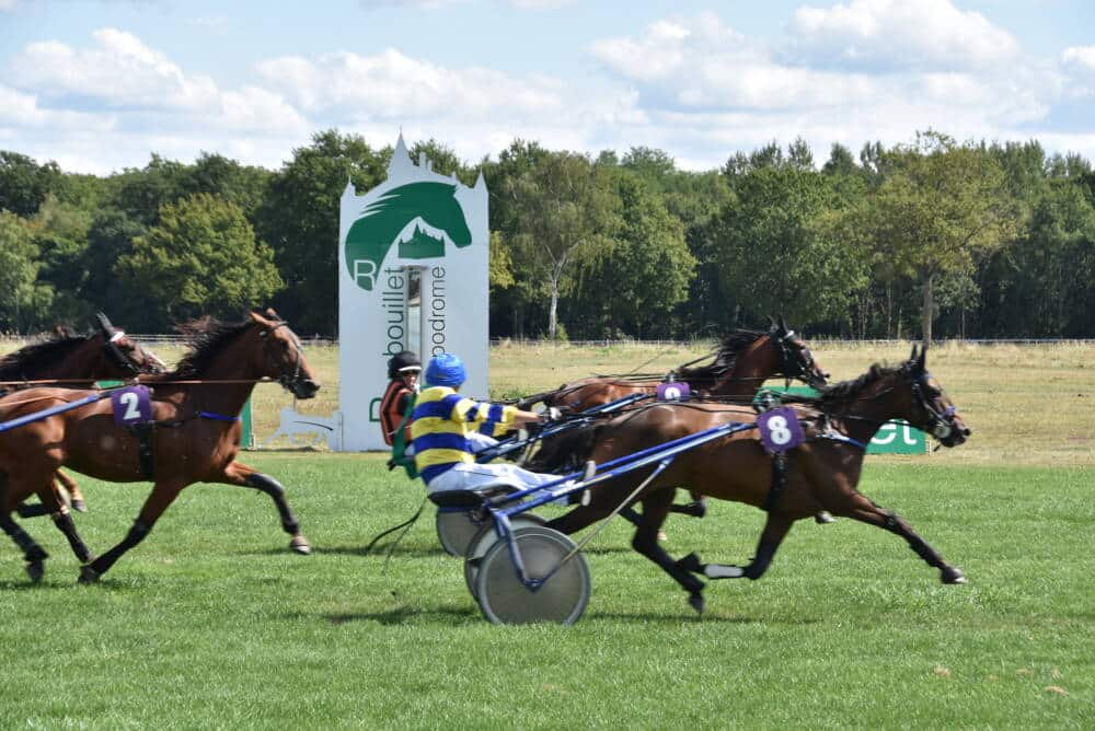 Hipódromo de Rambouillet, caballo de carreras