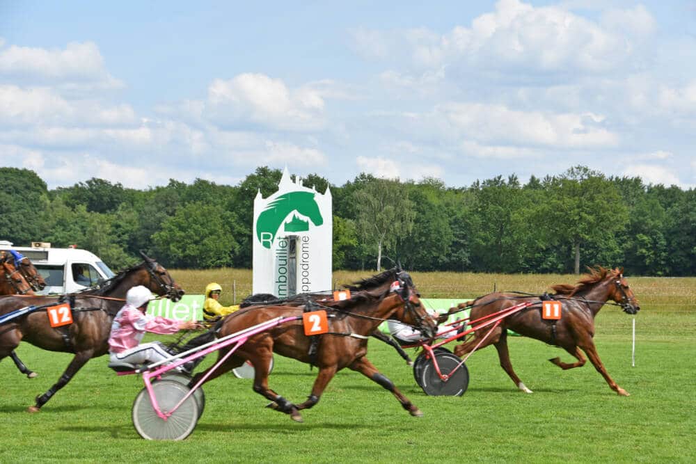 Rambouillet renbaan, renpaard