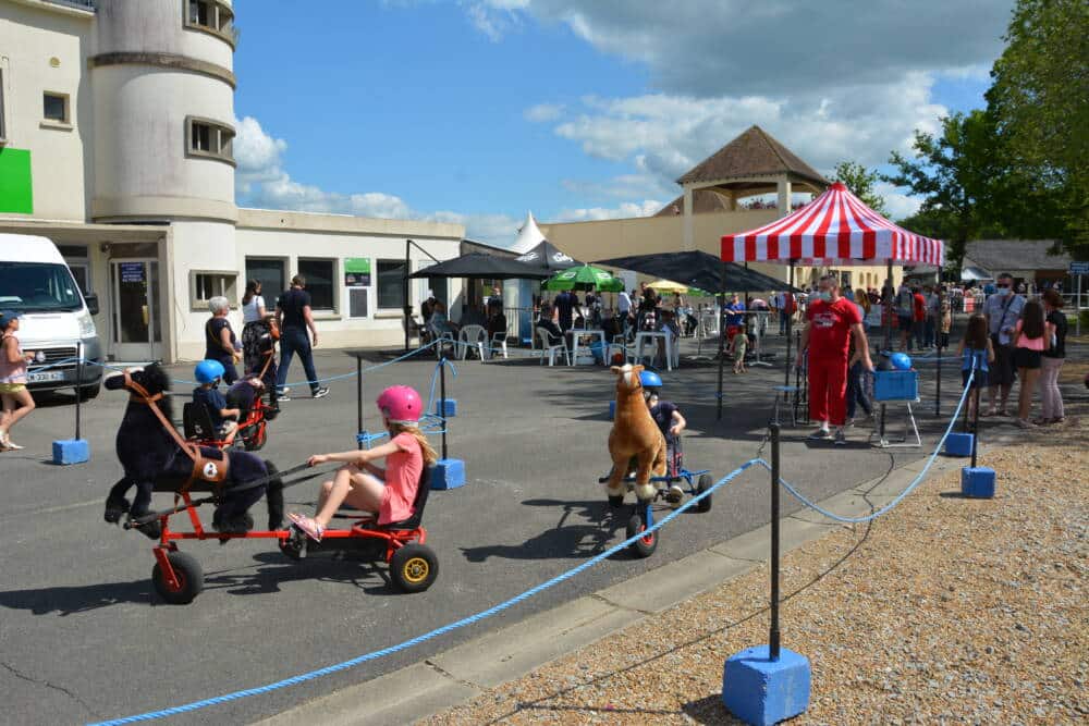 Hippodrome de Rambouillet, cheval de course