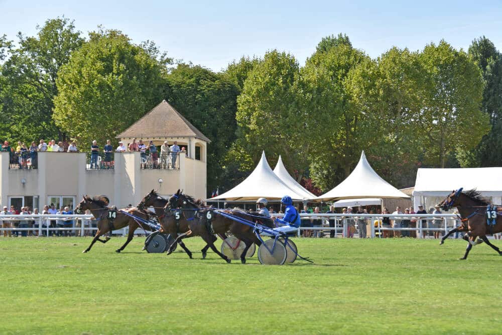 Hippodrome de Rambouillet, cheval de course