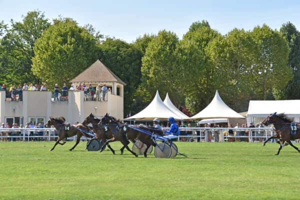 Rambouillet renbaan, renpaard