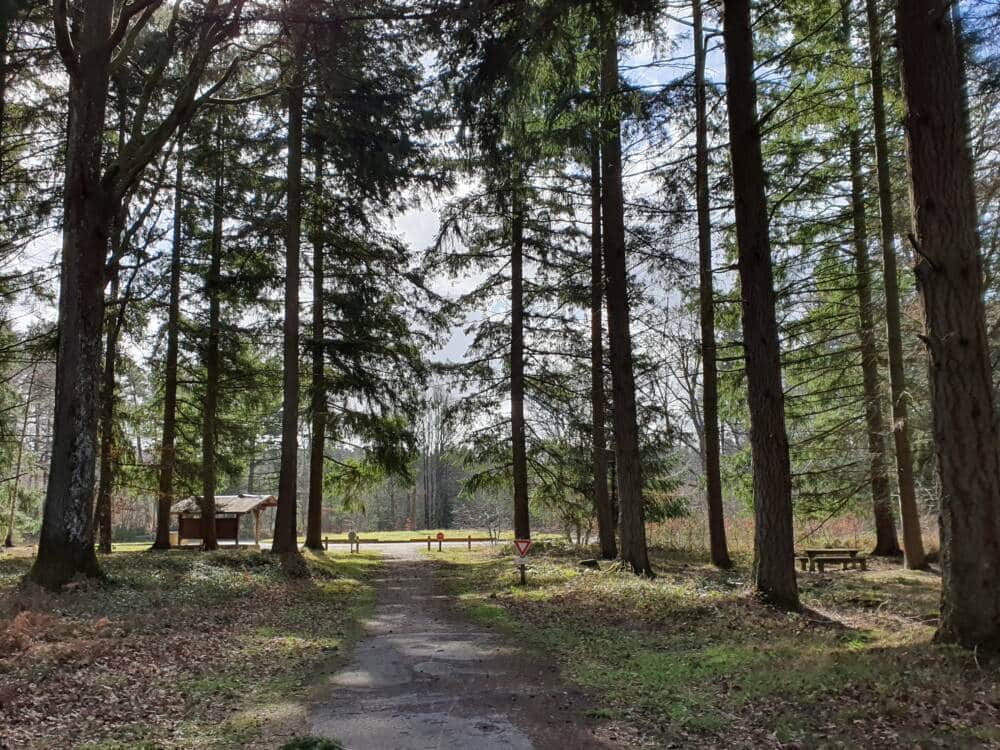 Croix Pater - Pecqueuse - Wachturm - Wald von Rambouillet