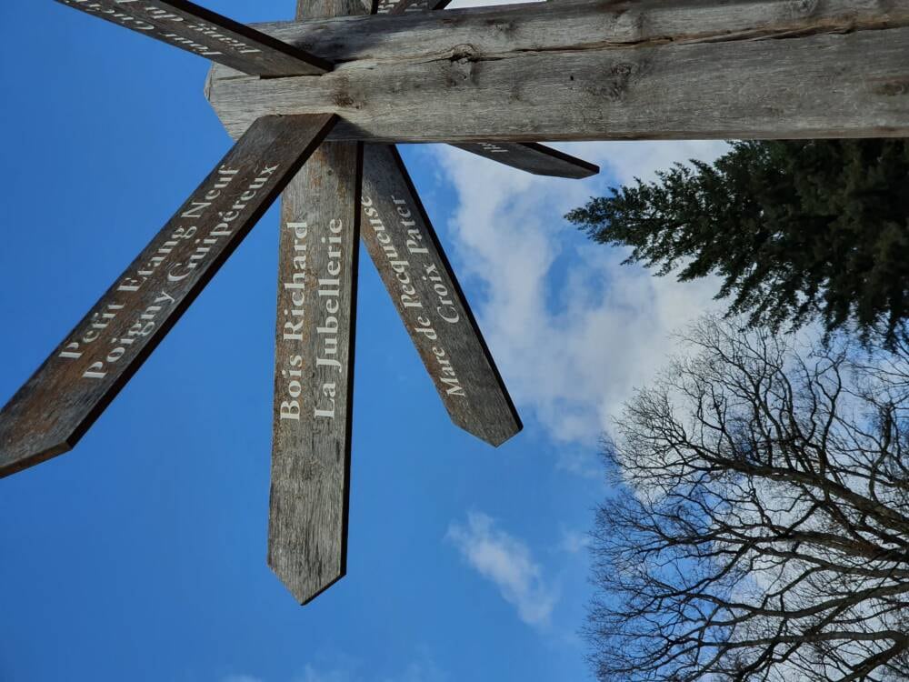 Croix Pater - Pecqueuse - Watchtower - Forest of Rambouillet