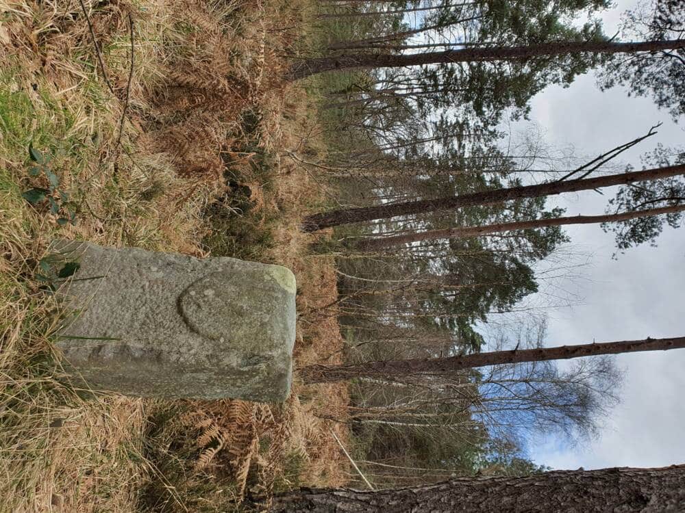 Croix Pater - Pecqueuse - Watchtower - Forest of Rambouillet