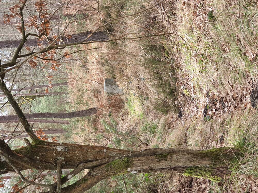 Croix Pater - Pecqueuse - Wachturm - Wald von Rambouillet