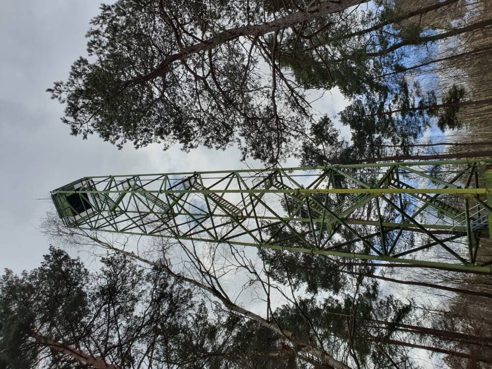 Croix Pater - Pecqueuse - Uitkijktoren - Bos van Rambouillet