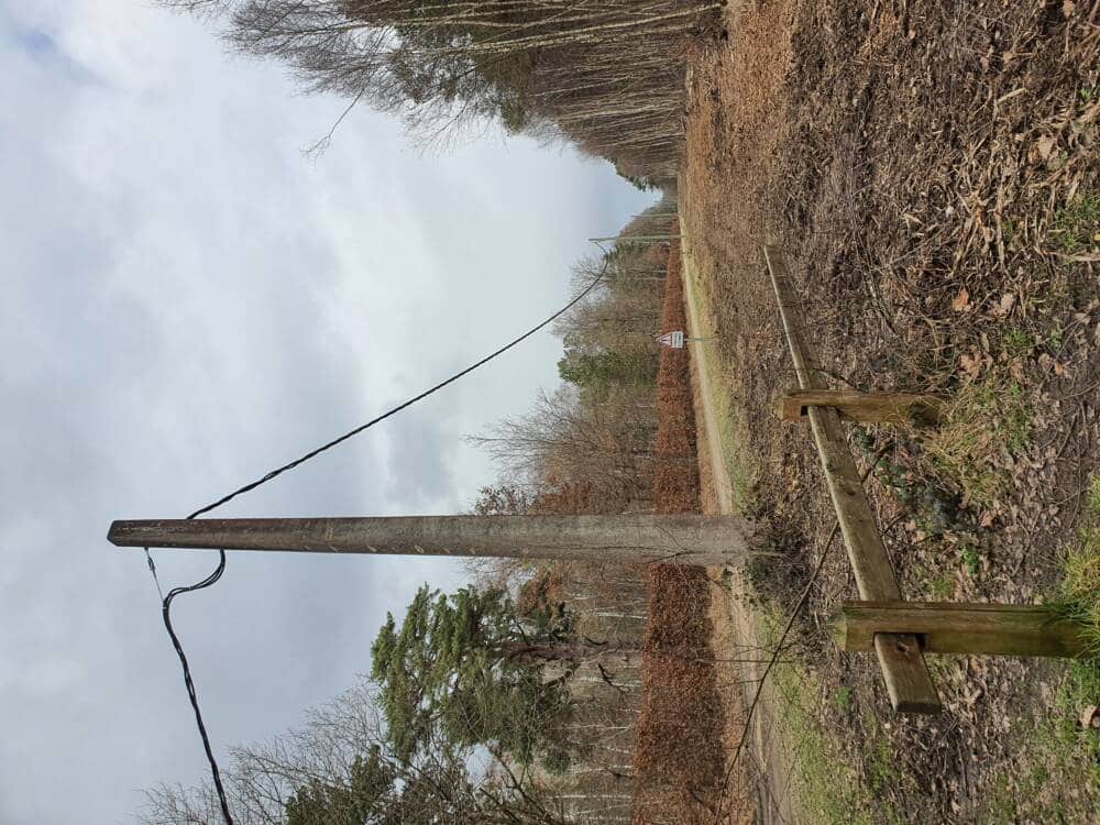 Croix Pater - Pecqueuse - Wachturm - Wald von Rambouillet