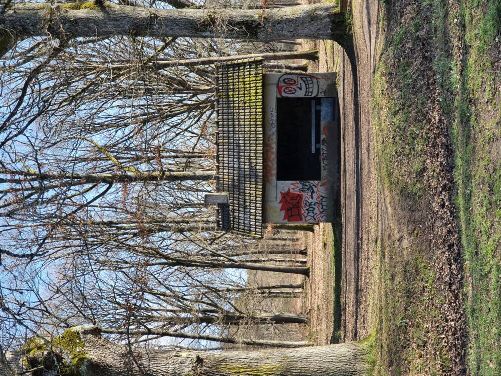 Croix Pater - Pecqueuse - Watchtower - Forest of Rambouillet