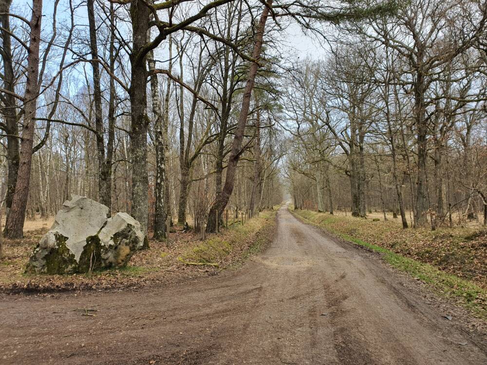 Croix Pater - Pecqueuse - Uitkijktoren - Bos van Rambouillet