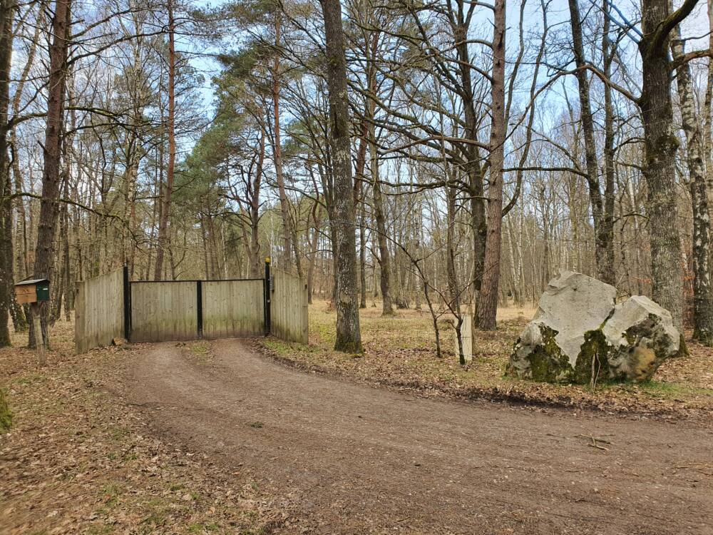 Croix Pater - Pecqueuse - Wachturm - Wald von Rambouillet