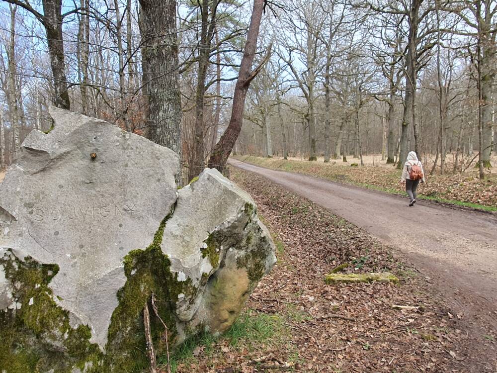Croix Pater - Pecqueuse - Tour de guet - Forêt de Rambouillet