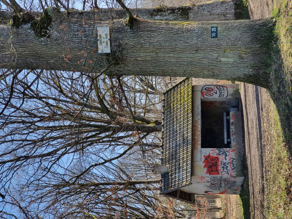 Croix Pater - Pecqueuse - Watchtower - Forest of Rambouillet