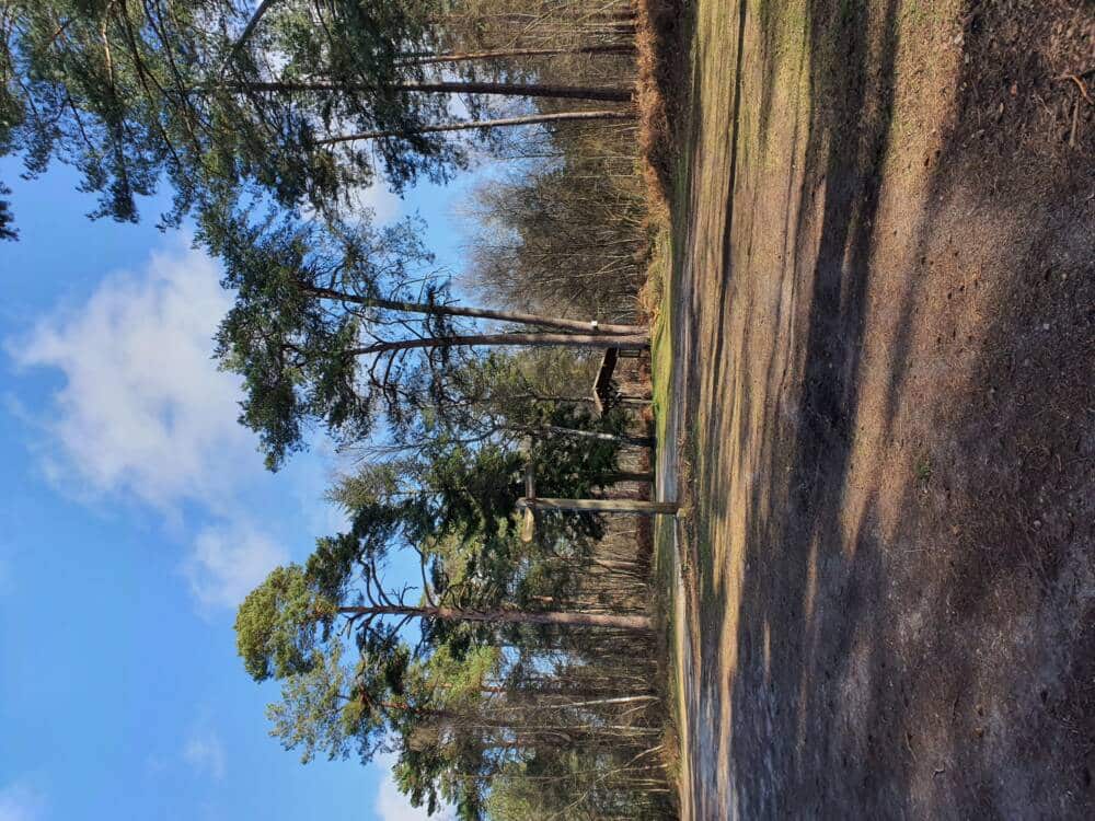 Croix Pater - Pecqueuse - Wachturm - Wald von Rambouillet