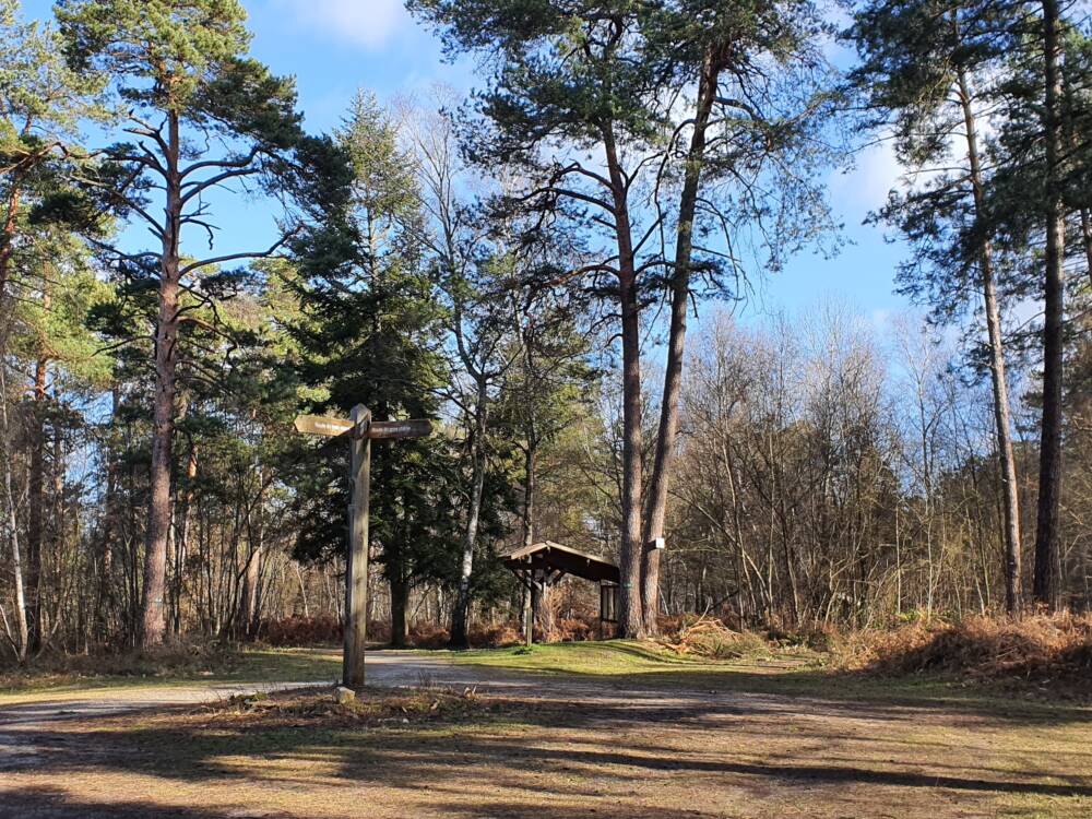 Croix Pater - Pecqueuse - Wachturm - Wald von Rambouillet