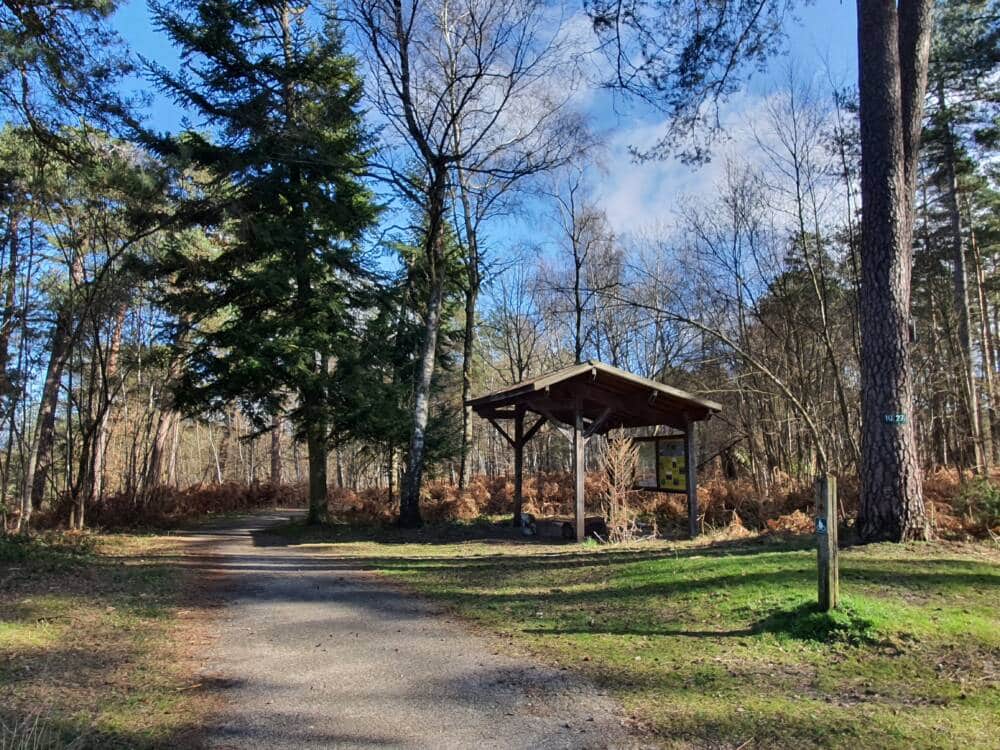 Croix Pater - Pecqueuse - Wachturm - Wald von Rambouillet