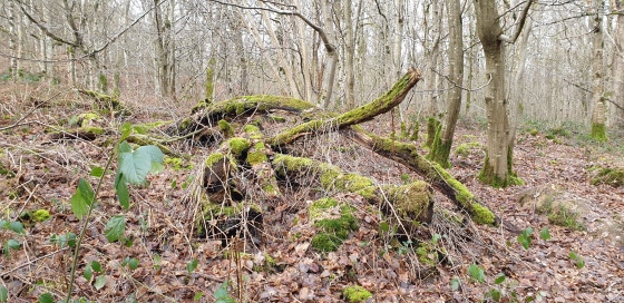 Rando De l'ancienne sablière aux eaux