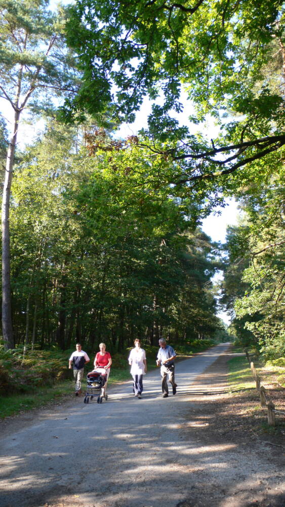 promenade pedestre ville de Rambouillet HD - Office de Tourisme de Rambouillet