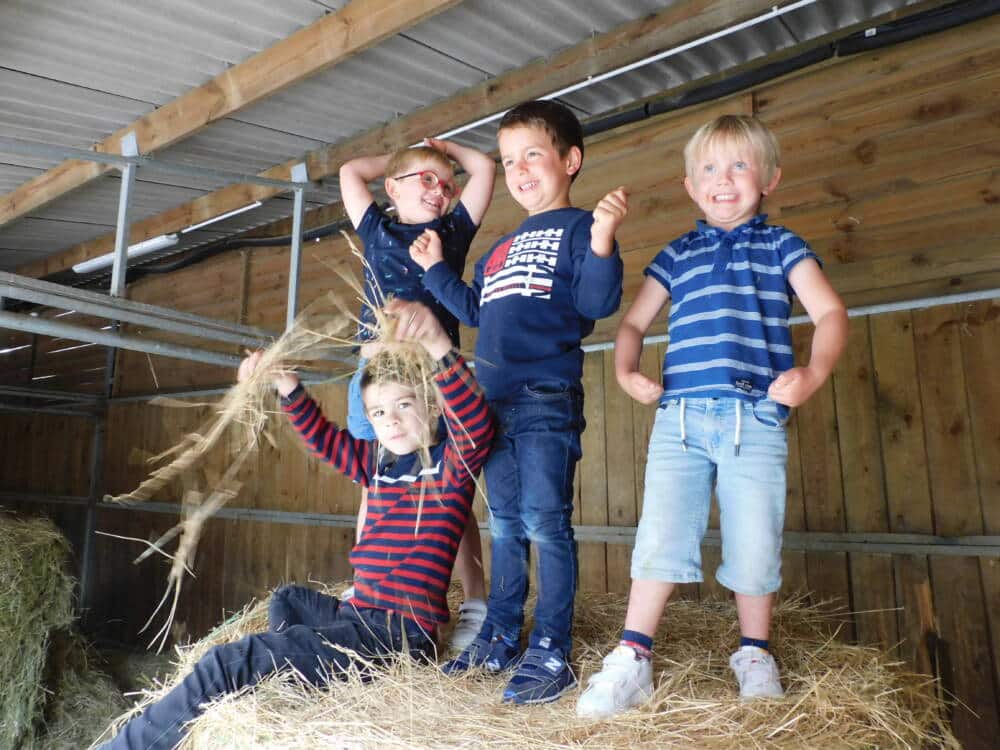 climbing in the straw © Bergerie nationale - Rambouillet Tourist Office