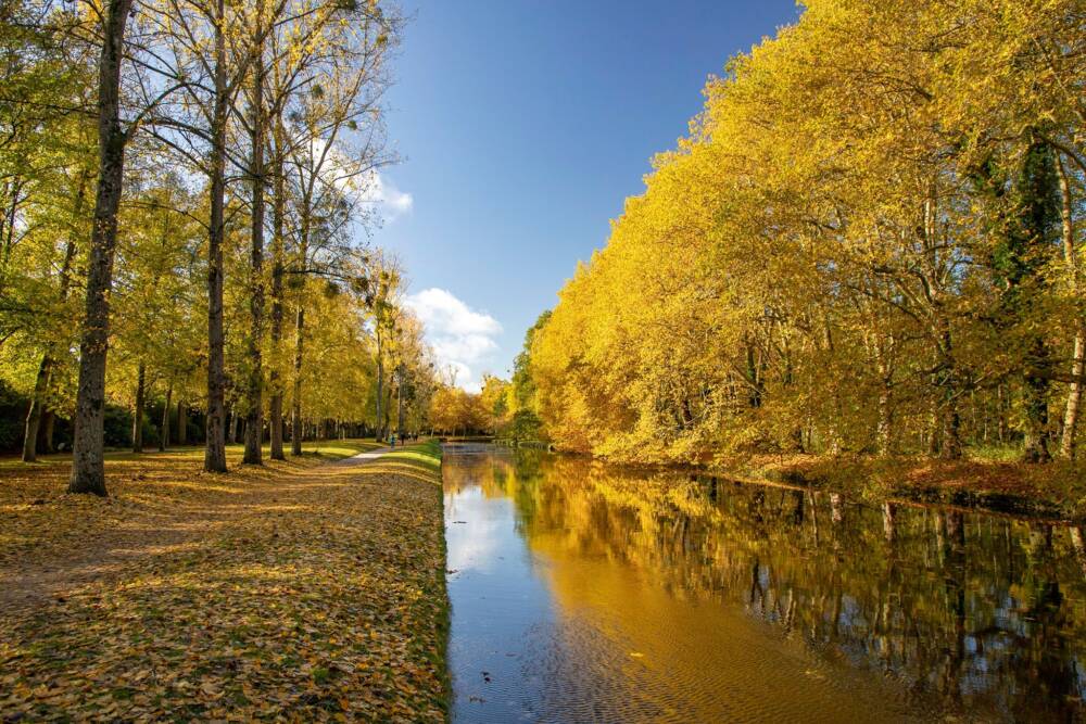 Park van het kasteel van Rambouillet Thierry Morin