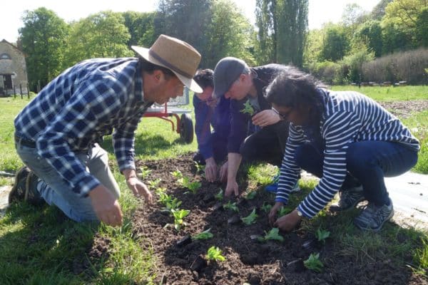 atividade de jardinagem comercial - Posto de Turismo de Rambouillet